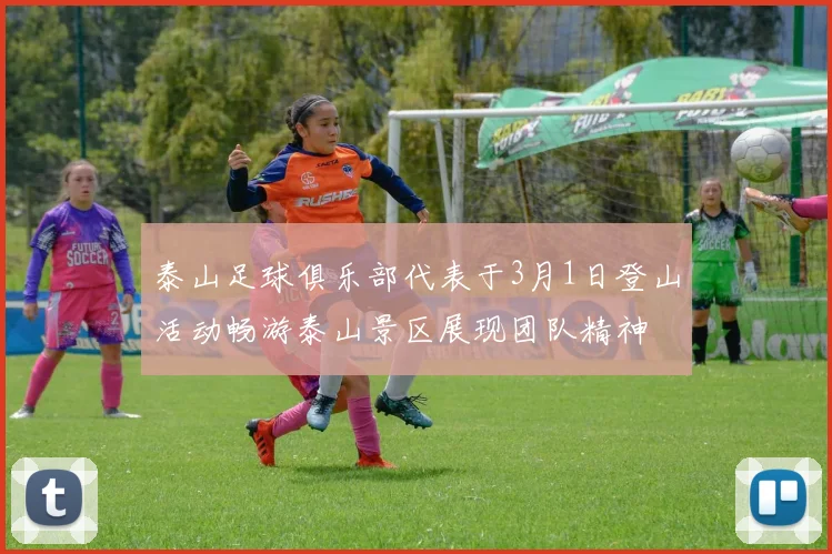 泰山足球俱乐部代表于3月1日登山活动畅游泰山景区展现团队精神