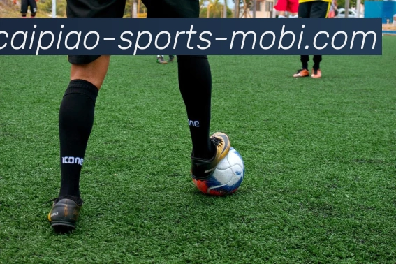 大发彩票品牌故事