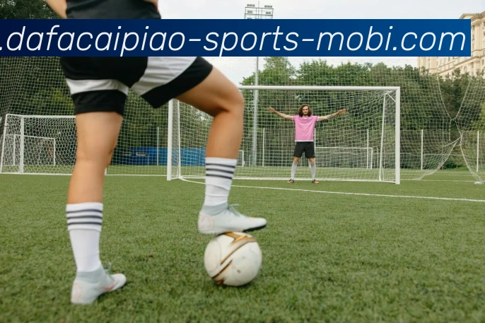 大发彩票服务体系